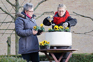 Revalidatie Oefentuin